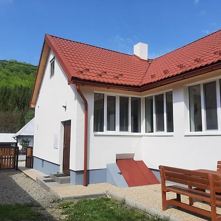 Babickin Dom Villa Medzilaborce Ngoại thất bức ảnh